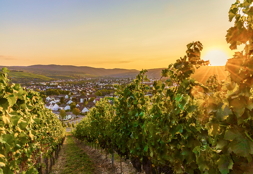 Bad Neuenahr-Ahrweiler